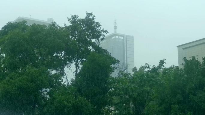 下雨下大雨雨季下雨天中雨暴雨汛期防汛