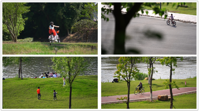 儿童骑自行车公园草地