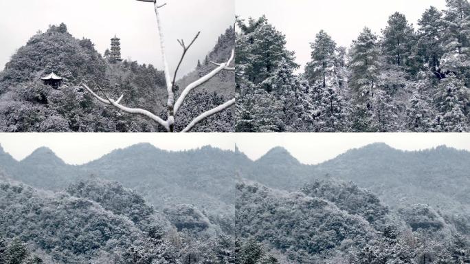 冬季树林山林下雪飘雪