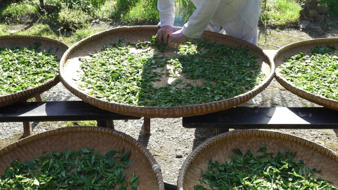 民间传统红茶制作工艺