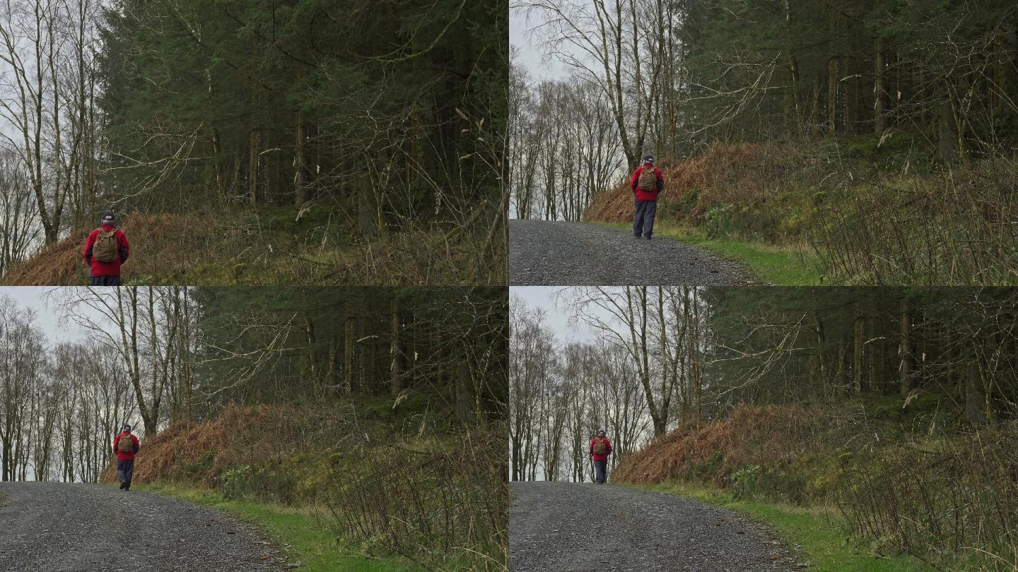 苏格兰一位老人独自在森林路上徒步旅行