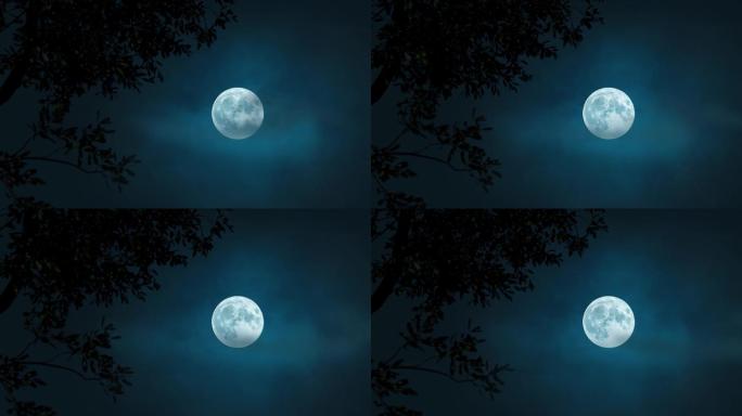 4k中秋明月夜明月当空月光圆月乡村月光