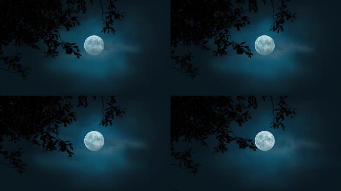 4k傍晚月亮圆月中秋树荫下月光月亮空境