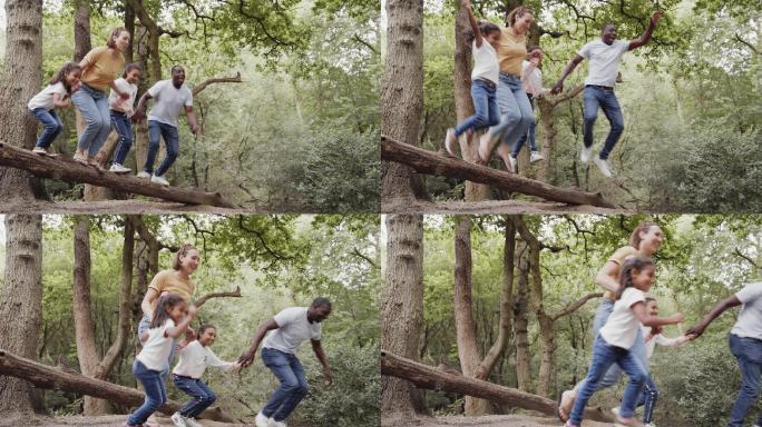 顽皮的一家人从树林中倒下的圆木上跳下