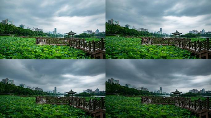 广西首府绿城南宁南湖公园延时暴风雨来临