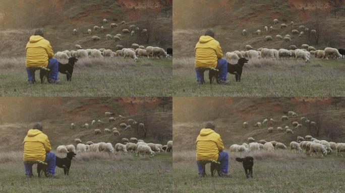 一个牧羊人和狗坐在山上养羊