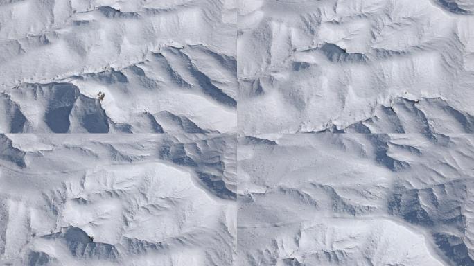 无人机POV美丽科罗拉多沙漠冬季丘陵和山脉上的假山降雪极端天气条件视频系列
