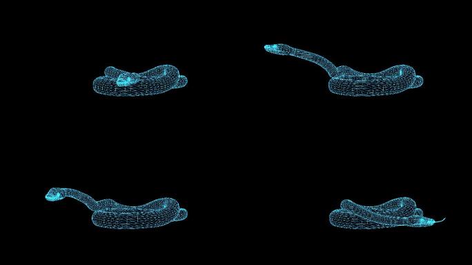 2K蓝色全息线框科技蛇动画带通道