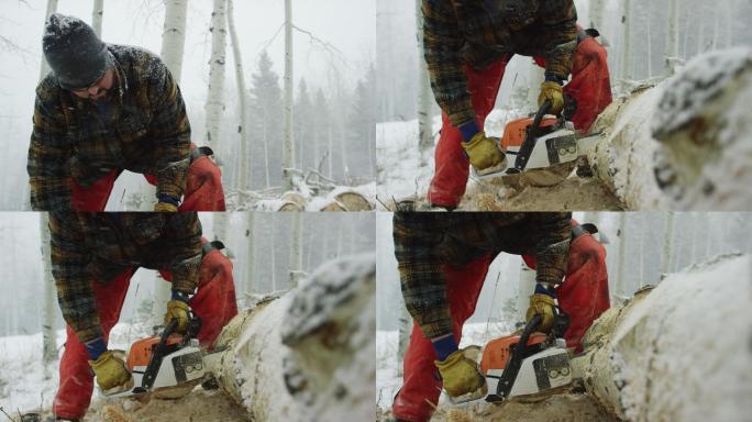 一名30多岁留着胡子的高加索男子在雪天的森林里用电锯砍断了一根白杨木