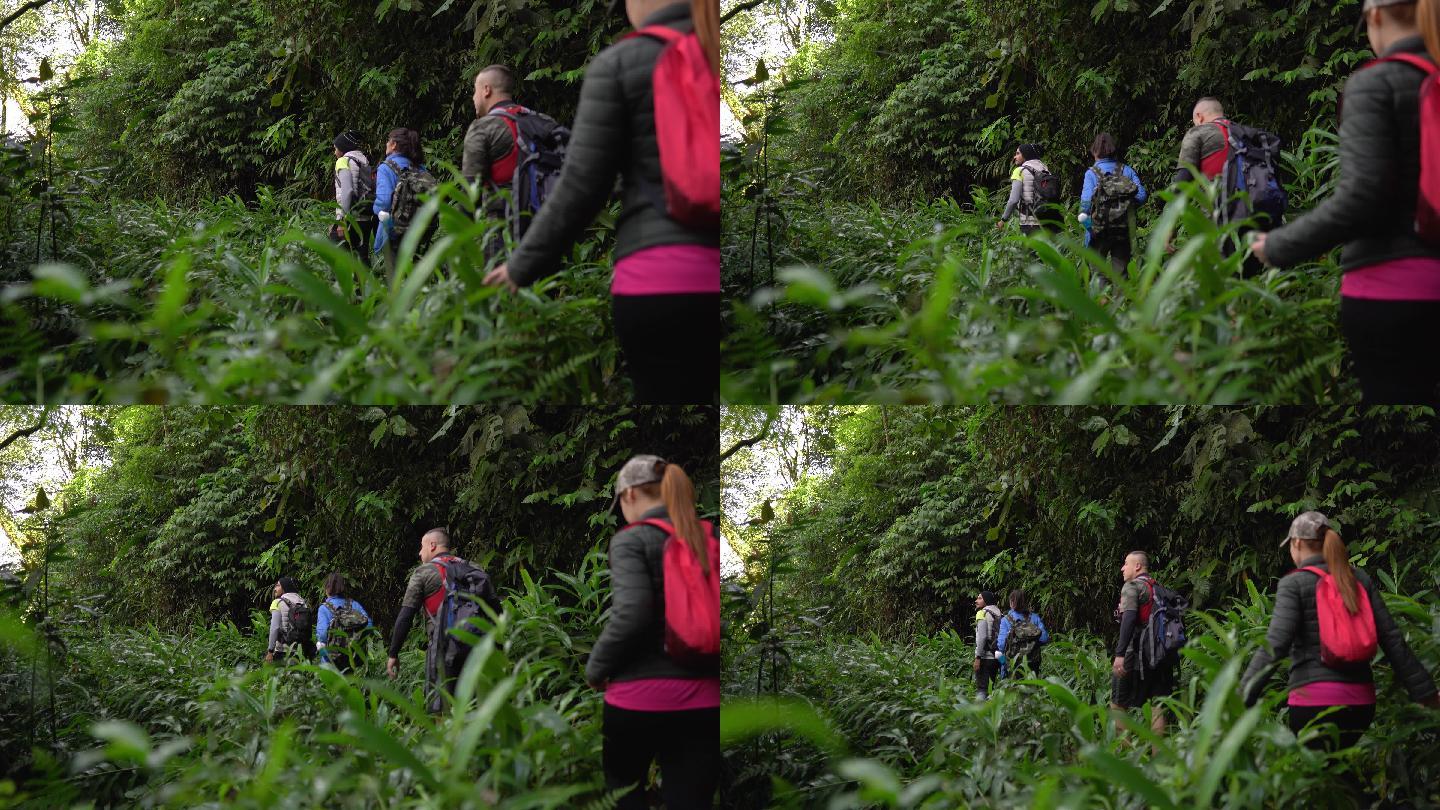 一群朋友在森林里徒步旅行