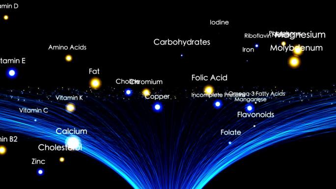 食物中的营养素动画特效表意