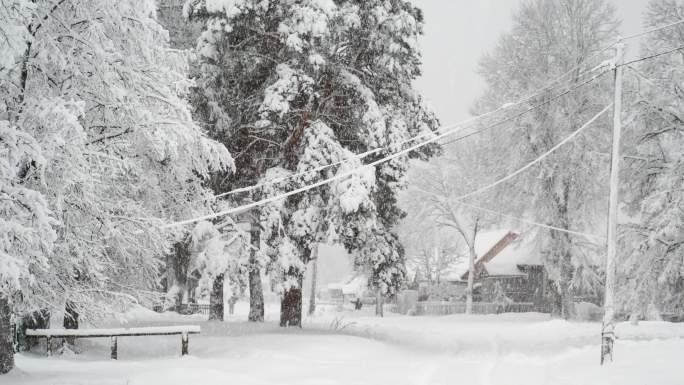 下雪的乡村街道鹅毛大雪大学纷飞寒冷