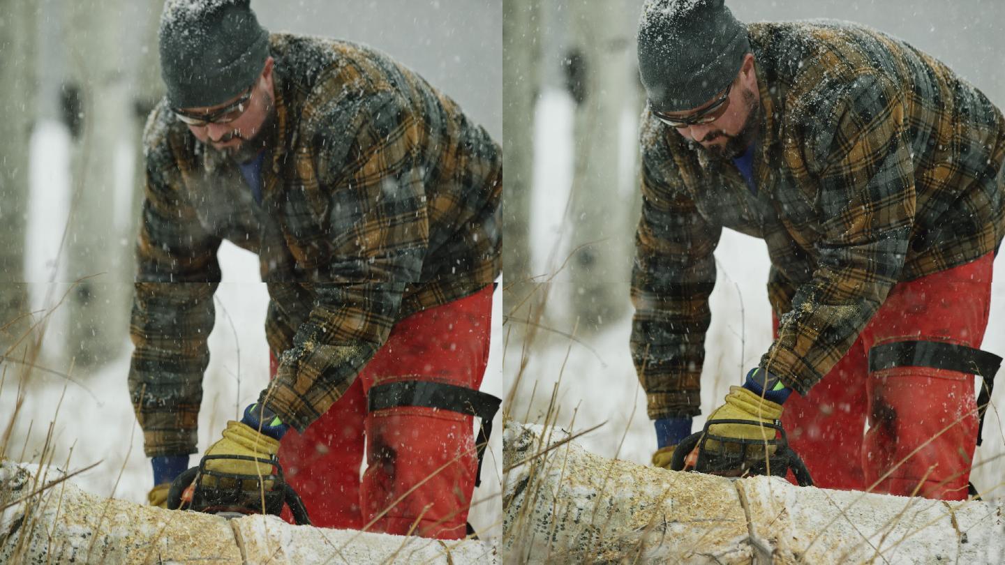 在一个下雪的冬日，一名30多岁留着胡子的白种人用电锯砍断了一根白杨木