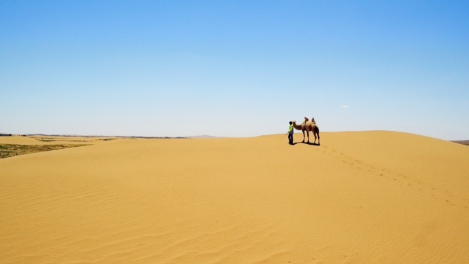 沙漠牵骆驼的人