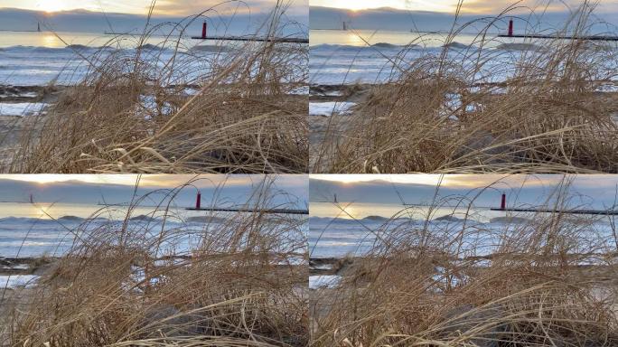 密歇根州湖岸微风中吹拂的芦苇草