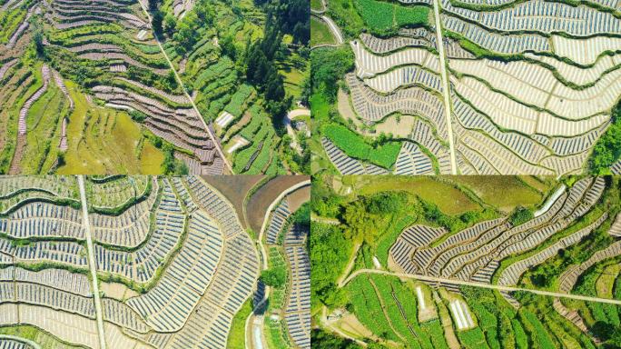 航拍乡村风景梯田种植画面