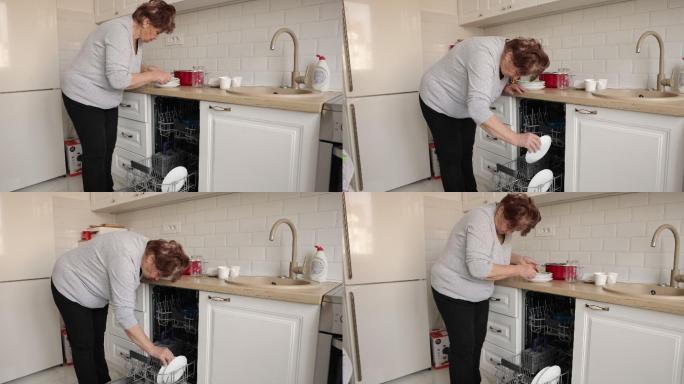 高级女士装洗碗机厨房消毒柜