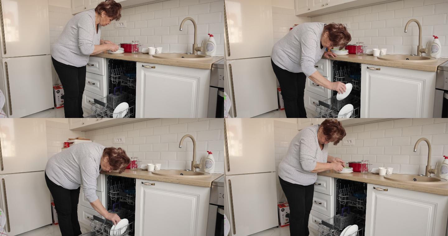 高级女士装洗碗机厨房消毒柜
