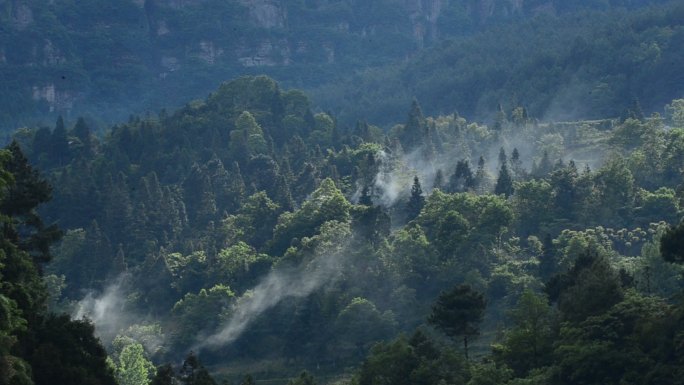 重庆南川万卷书台露营基地一角的风光