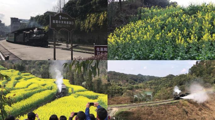 春天嘉阳小火车油菜花田