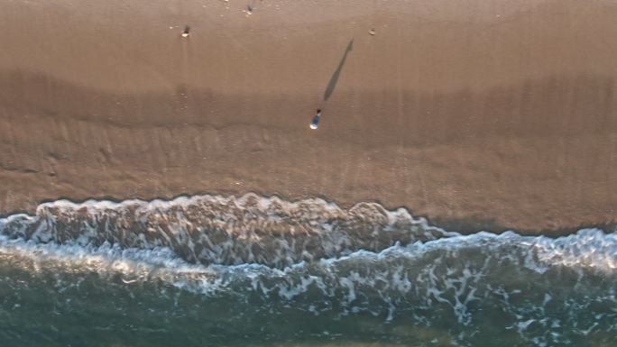 当黄貂鱼在浅水中游动时，海浪拍打着海滩