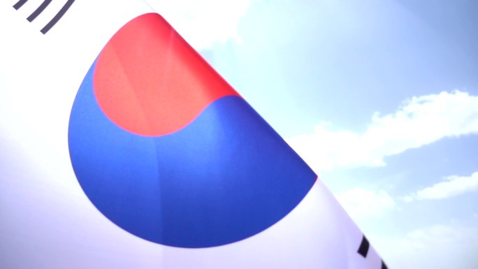 韩国国旗高细节韩国国旗