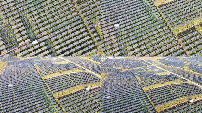 太阳能农场利用太阳生产清洁的可再生能源。数千块太阳能电池板、光伏太阳能电池、巨大的太阳能农场。