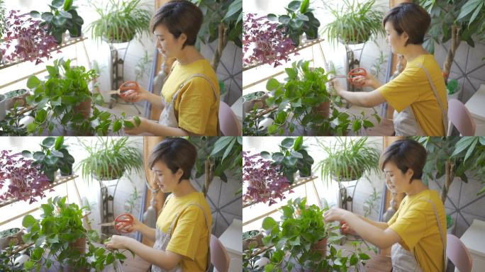 亚洲女性家庭园艺修剪植物绿植
