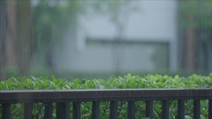 天井雨天国外人物宣传