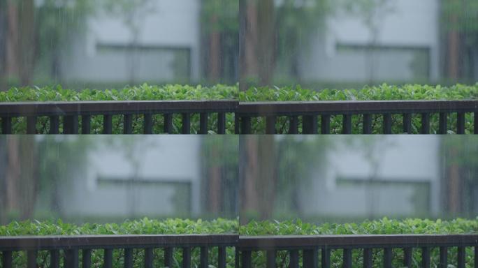 天井雨天国外人物宣传