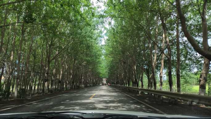 蒲河生态廊道01