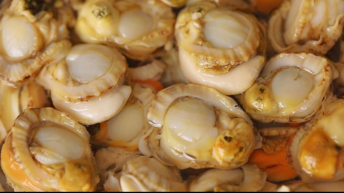 海鲜食材扇贝肉视频展示