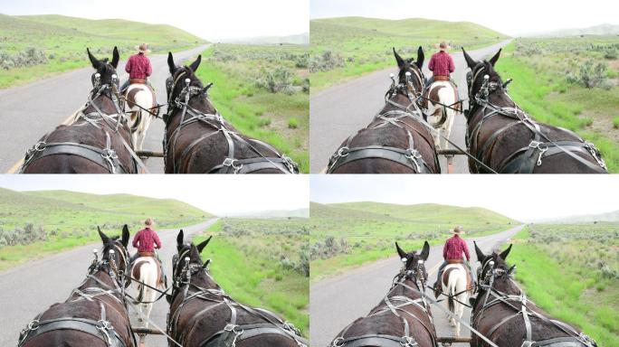 犹他州马的马车视角和牛仔的后视图