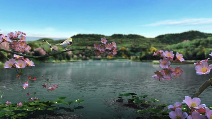 生态湖景 桃花 麻雀