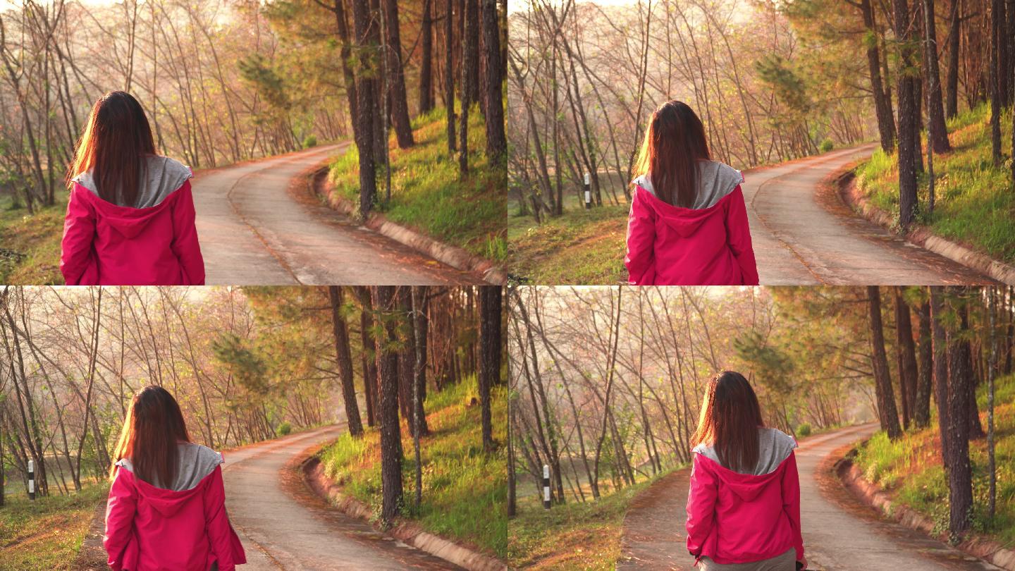 后景：穿着红色夹克的年轻亚洲女性沿着松林小路散步，在自然氛围、热带气候区域中感到快乐，享受观景、户外