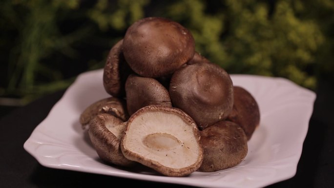 【镜头合集】鲜香菇鲜蘑菇