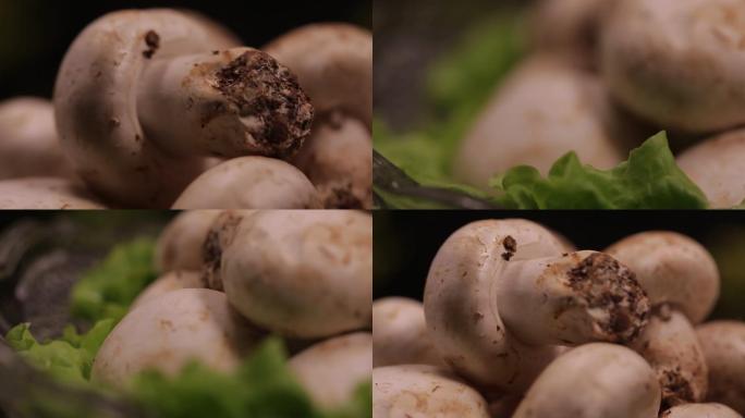 【镜头合集】口蘑蘑菇白蘑菇鲜蘑  (5)