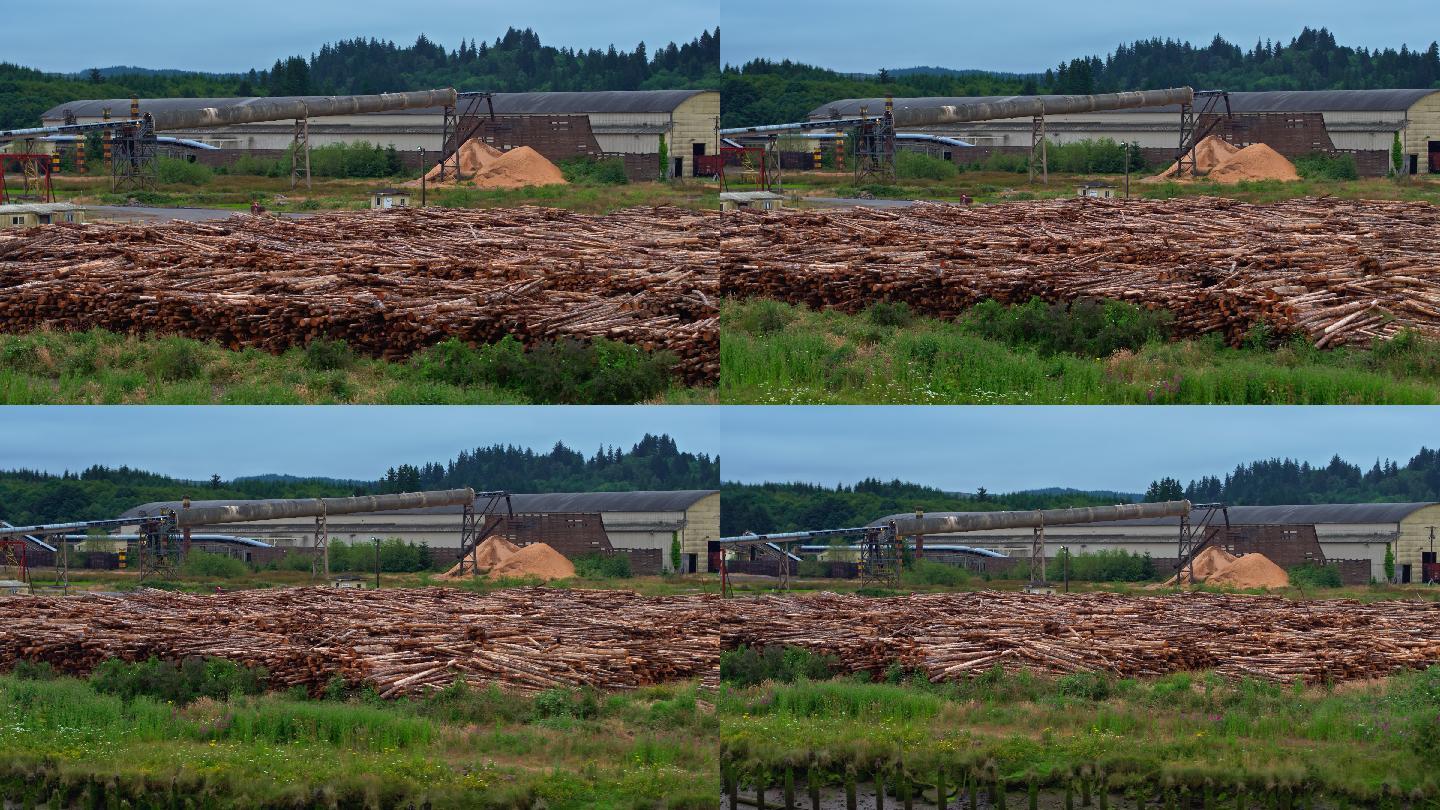 俄勒冈州锯木厂外一排排树干的向后无人机拍摄