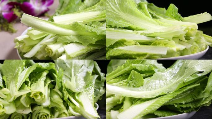 【镜头合集】青菜小白菜菜叶叶子蔬菜