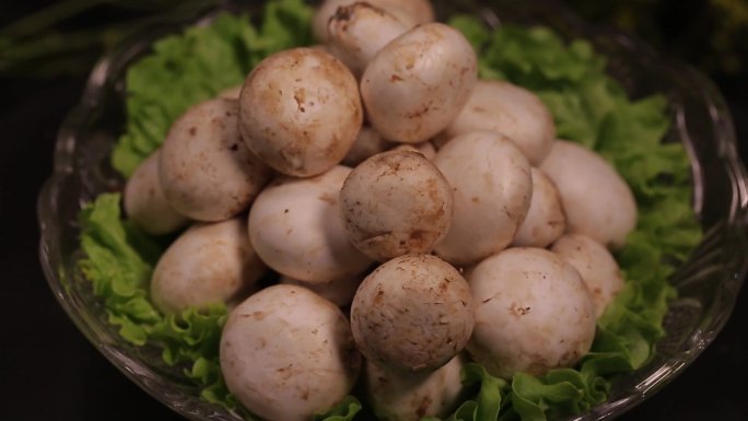 【镜头合集】口蘑蘑菇白蘑菇鲜蘑  (1)