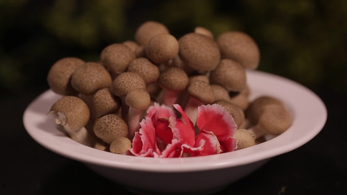 【镜头合集】海鲜菇蟹味菇蘑菇  (3)
