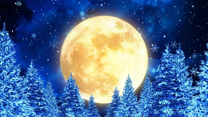 月亮-松树-圣诞