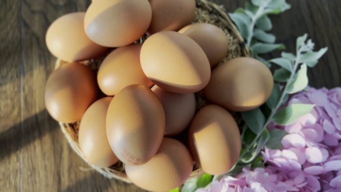 鸡蛋光影唯美禽蛋农产品展示农业博览会