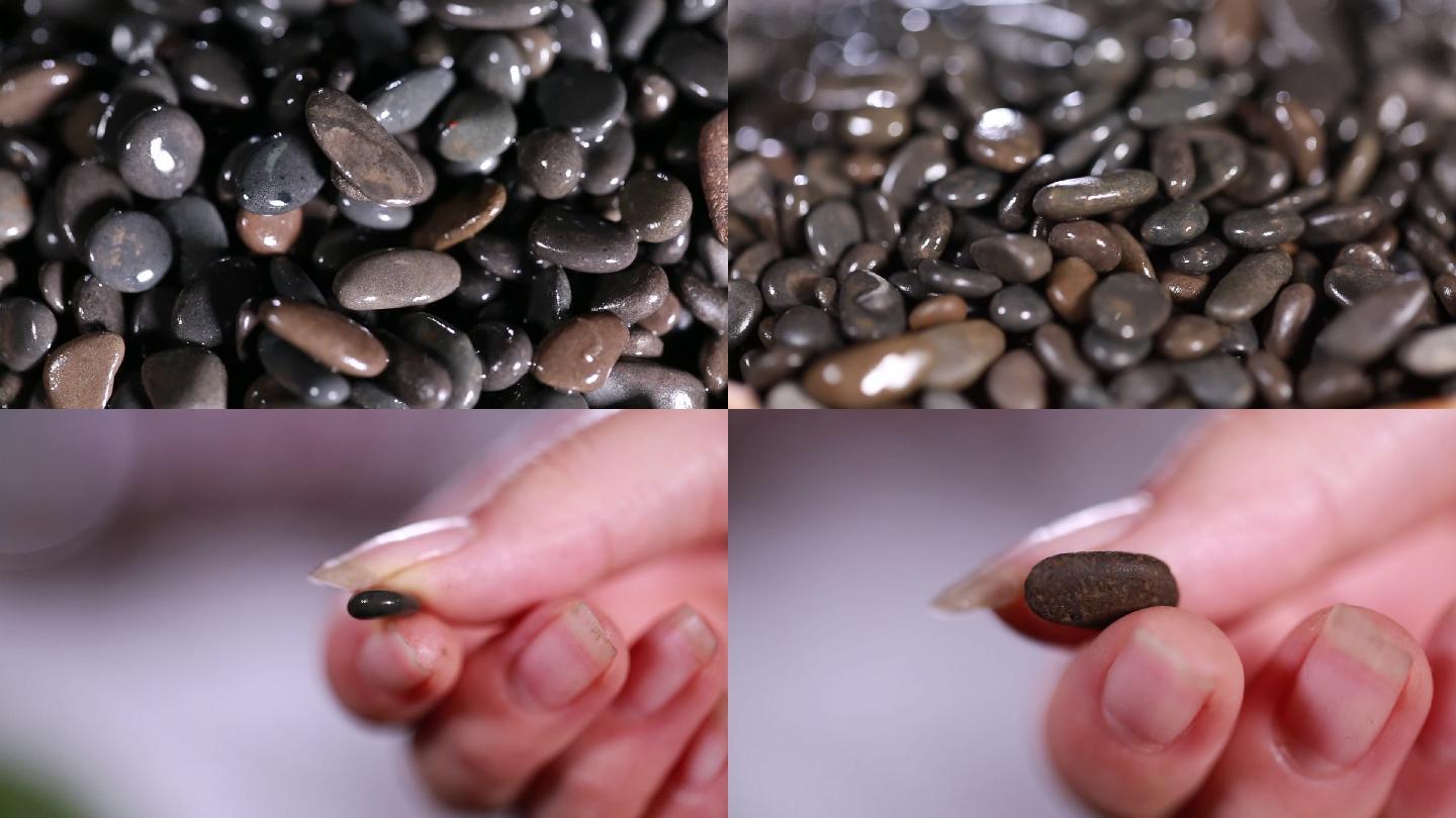 【镜头合集】黑色石子石头籽  (3)