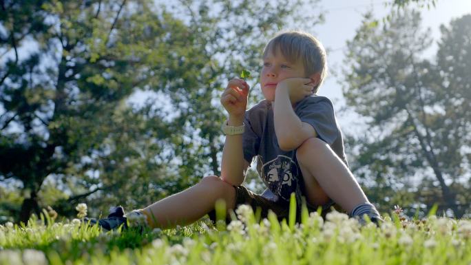 7岁的男孩坐在公园的绿草上，享受着美丽的大自然。