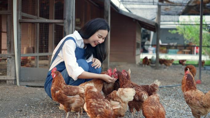 手拿食物喂动物的美女