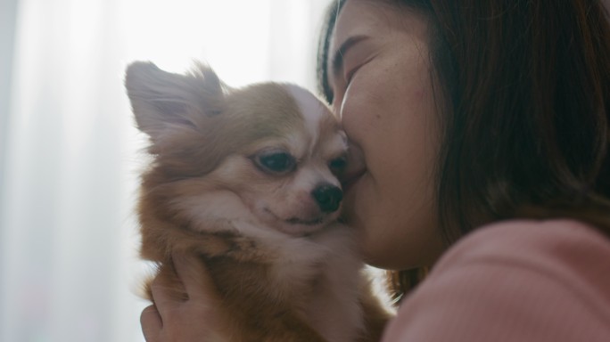 卧室里养着可爱宠物的亚洲女人