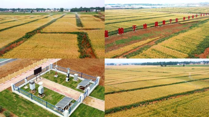 科技兴农麦田农业灌溉