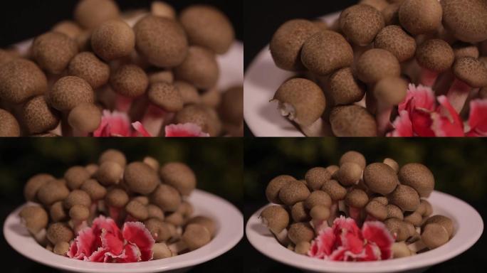 【镜头合集】海鲜菇蟹味菇蘑菇  (1)