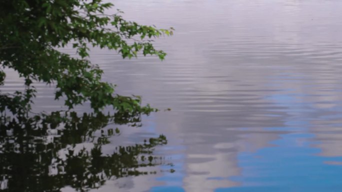湖面蓝天白云树叶倒影